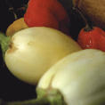 gardeneggs